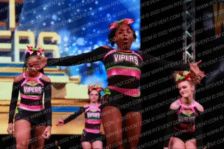 CT Vipers Toxic