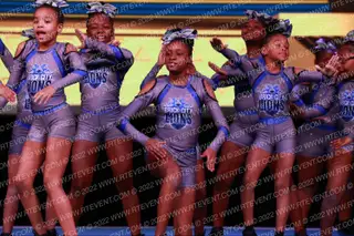 Brick City Lions Black Smoke