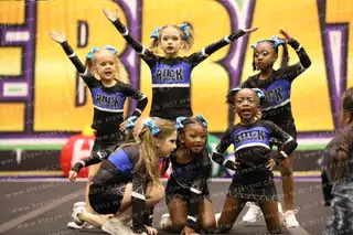 Rock Solid Elite Tiny Turquoise