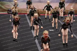 Brave Allstars Secret Service