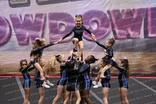 Flyers Elite NIGHTSHADE