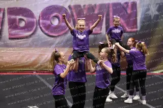 Vikings Allstar Violet