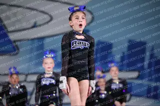 The Stingray Allstars Amber