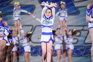 The Stingray Allstars Citrus
