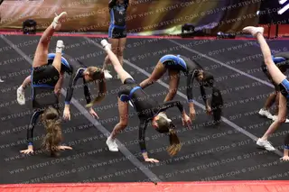 Flyers Elite BLACK WIDOWS