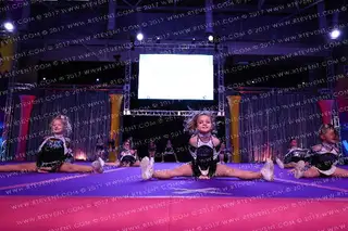 Cats Cheerleading Princess Kitties