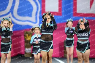 Florida Elite Sharks Hammerheads