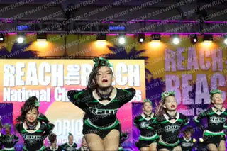 The Stingray Allstars Orion