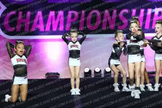 Stars Vipers Katy Rosy Boas