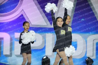 GOLDEN STATE ELITE MINI POM