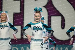 Top Notch All Stars Jungle Cats