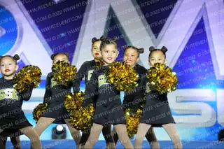 GOLDEN STATE ELITE TINY POM