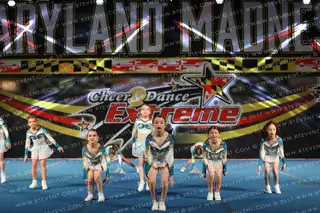 Chesapeake Elite Enchanted