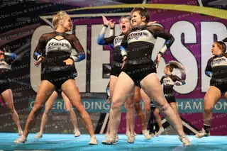 The Stingray All Stars Obsidian