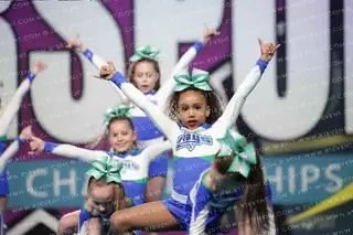 The Stingray All Stars Blossom