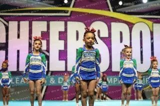 The Stingray All Stars Berry