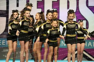 Twisters Violet