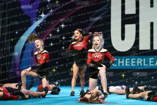 Woodlands Elite - OR Stealth
