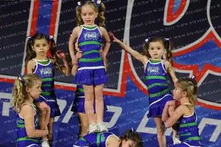Kentucky Pride All-Stars Kittens