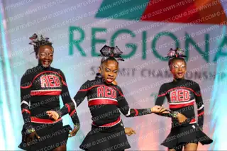 Raleigh Elite Diamonds Lady Lightning