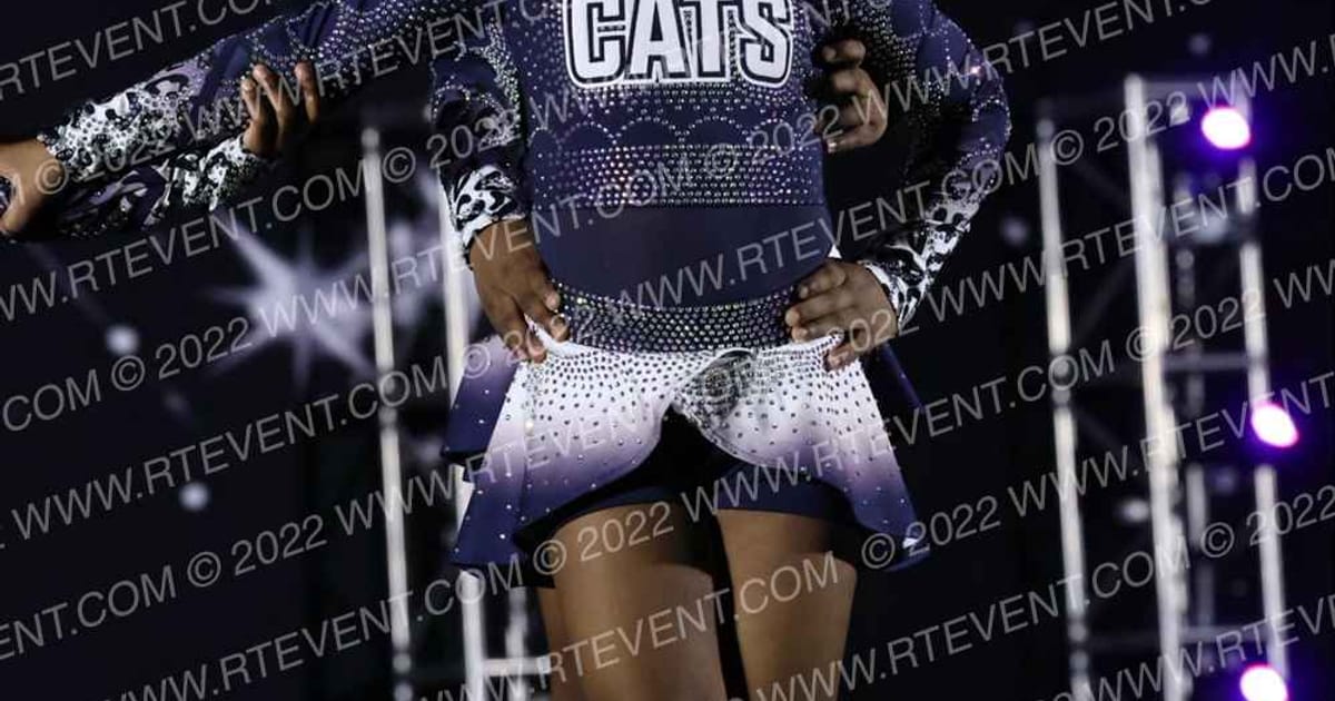Chi-Town C A T S Little Cats · The US Finals Chicago Correct
