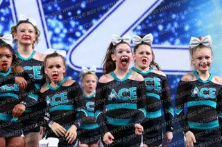 ACE ALL STAR ROGUE