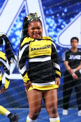 PANTHERS ELITE KITTIES