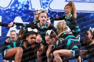 ACE ALL STAR ROGUE
