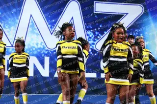 PANTHERS ELITE KITTIES