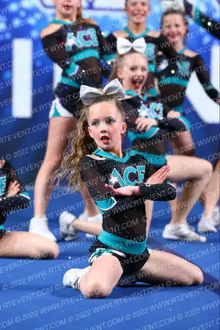 ACE ALL STAR BOMBSHELLS