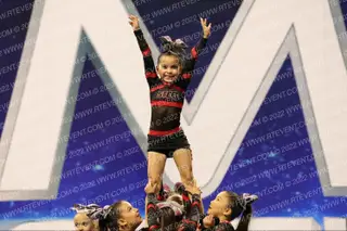 STEEL ALLSTARS TINY TINS
