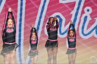 Dayton Academy Wildcats Mini Models
