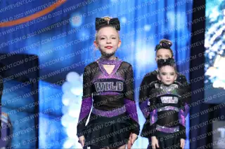 WILD All Stars Cheerleading Diamond Cats