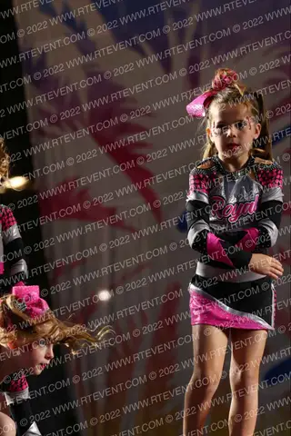 XTC Royal Diamonds