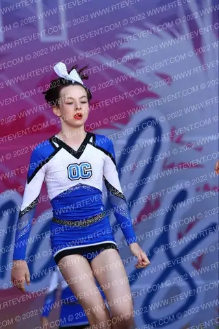 Oxford Cheer Hammerheads