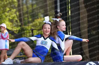 Oxford Cheer Hammerheads