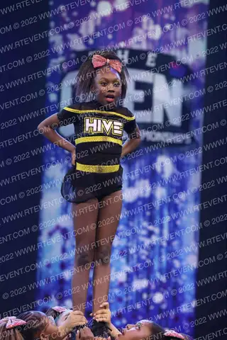 The Cheer Hive ST1NG C1TY
