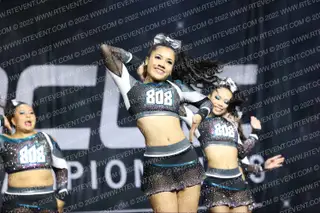 808 APEX SHARKS