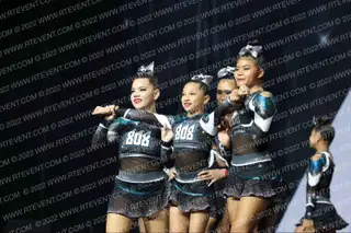 808 ANGEL SHARKS
