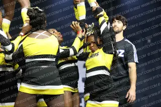 PANTHERS ELITE KITTIES