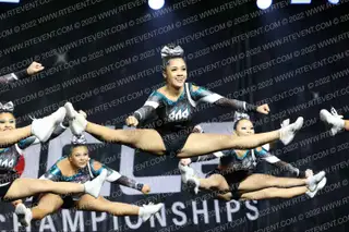808 APEX SHARKS
