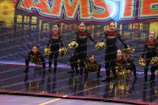 Steele Studio Gold Pom