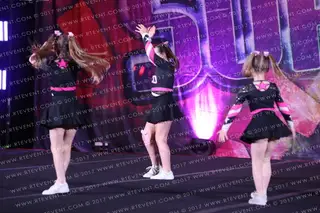 ASCD Flamingos
