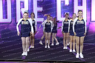 Towers School Tigers