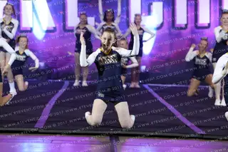 Towers School Wildcats