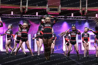 Scorpions Allstars Infusion