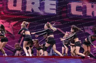 Wildcats Athletic Untamed