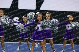 COBRA CHEER PEEWEES