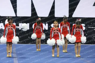 KERMAN MIGHTY MITES MASCOT