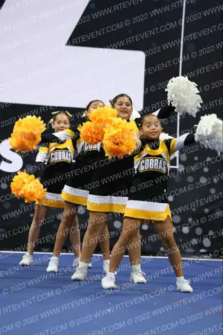 COBRA CHEER JUNIORS